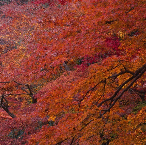 赚钱心得笔记模板