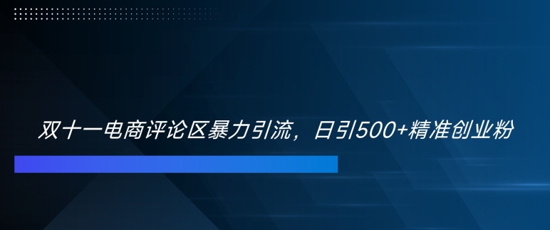 双十一电商评论区暴力引流，日引500+精准创业粉【揭秘】